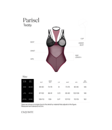 Parisel body